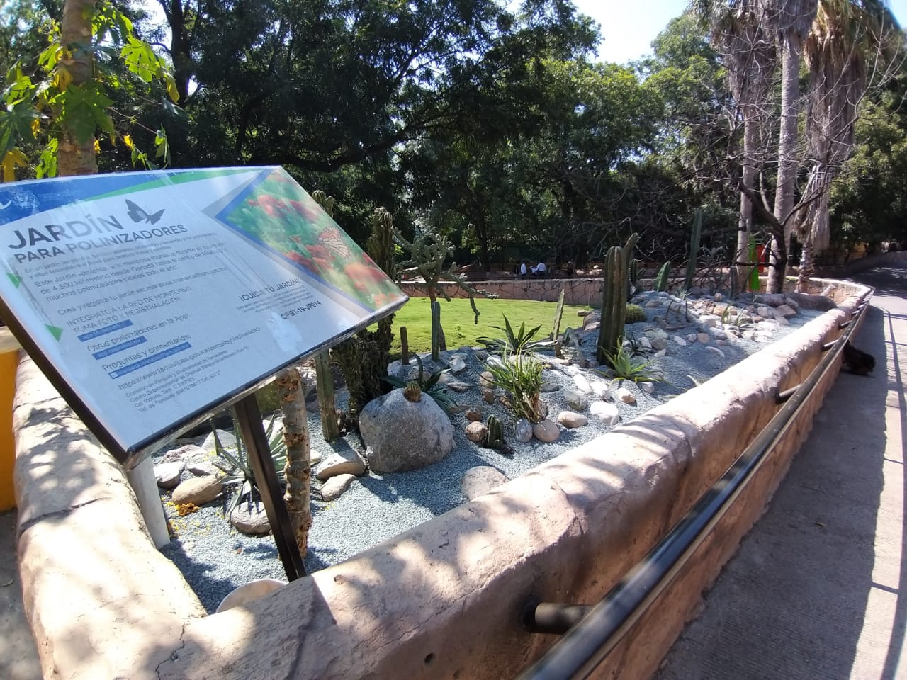 jardin de xerofilas.jpg